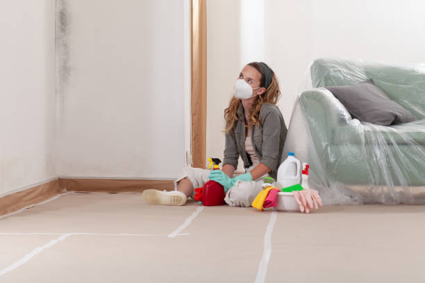 Reliable Commercial Mold Remediation contractor in Concord, NC by Mold Remediation HQ